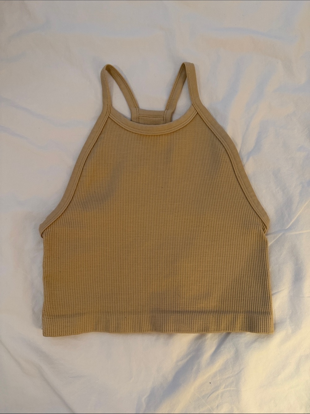 Aritzia Ribbed Halter Crop Top in Tan